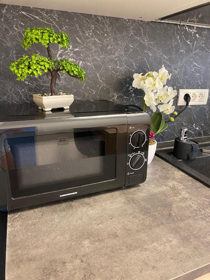Apartament Queen's Deluxe Mamaia Nord